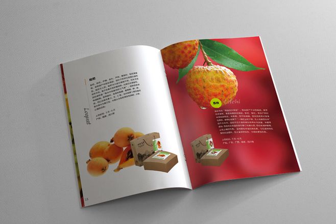 宣傳冊設計一般一頁多少錢？宣傳冊的特點有哪些？