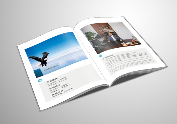 怎樣才是一本好的畫冊？