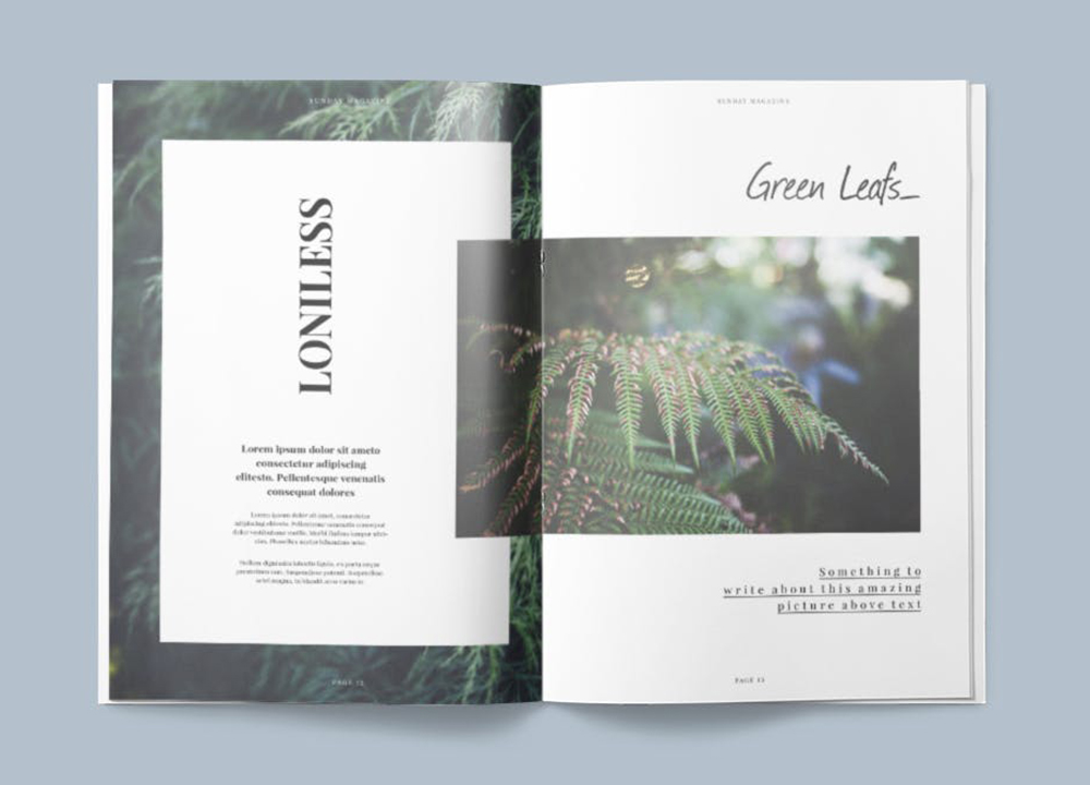 排版一般一頁多少錢？排版設(shè)計有什么方式？