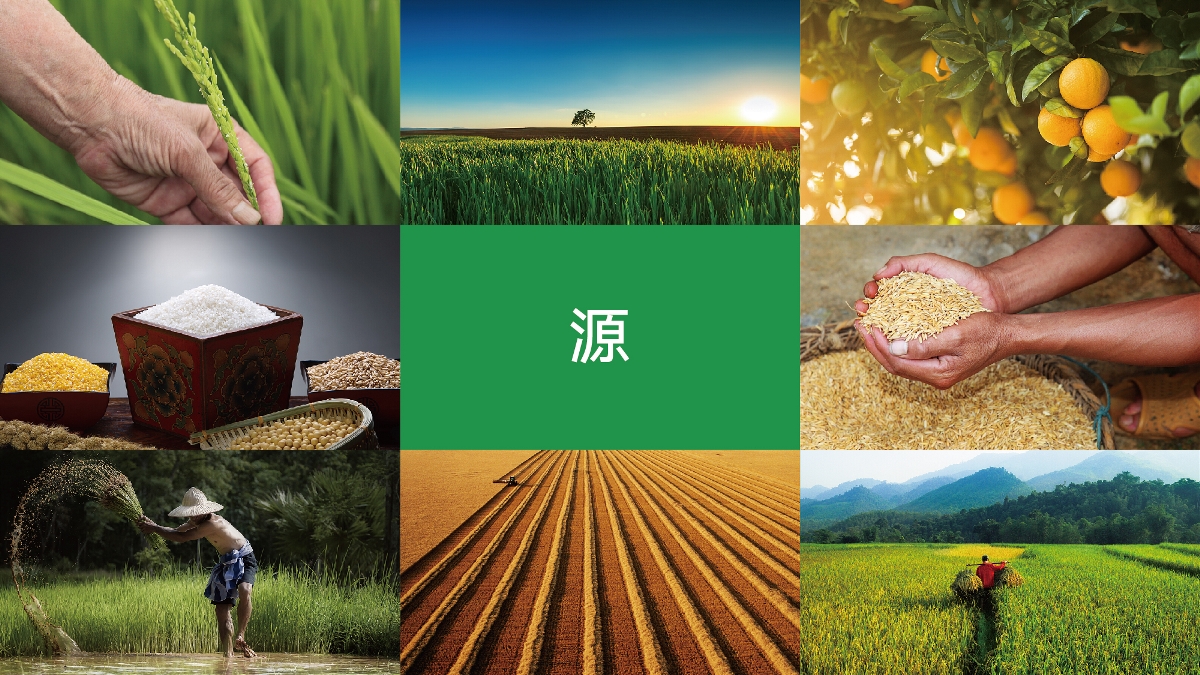 農(nóng)產(chǎn)品品牌設計技巧有哪些？怎樣塑造品牌形象