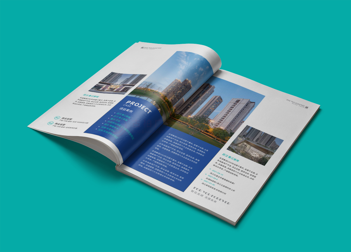 品牌地產(chǎn)樓書設(shè)計,品牌地產(chǎn)樓書設(shè)計公司 品牌地產(chǎn)樓書設(shè)計,品牌地產(chǎn)樓書設(shè)計公司