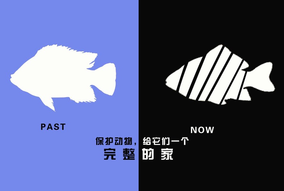 廣告設計制作有哪些要求？有哪些注意事項？