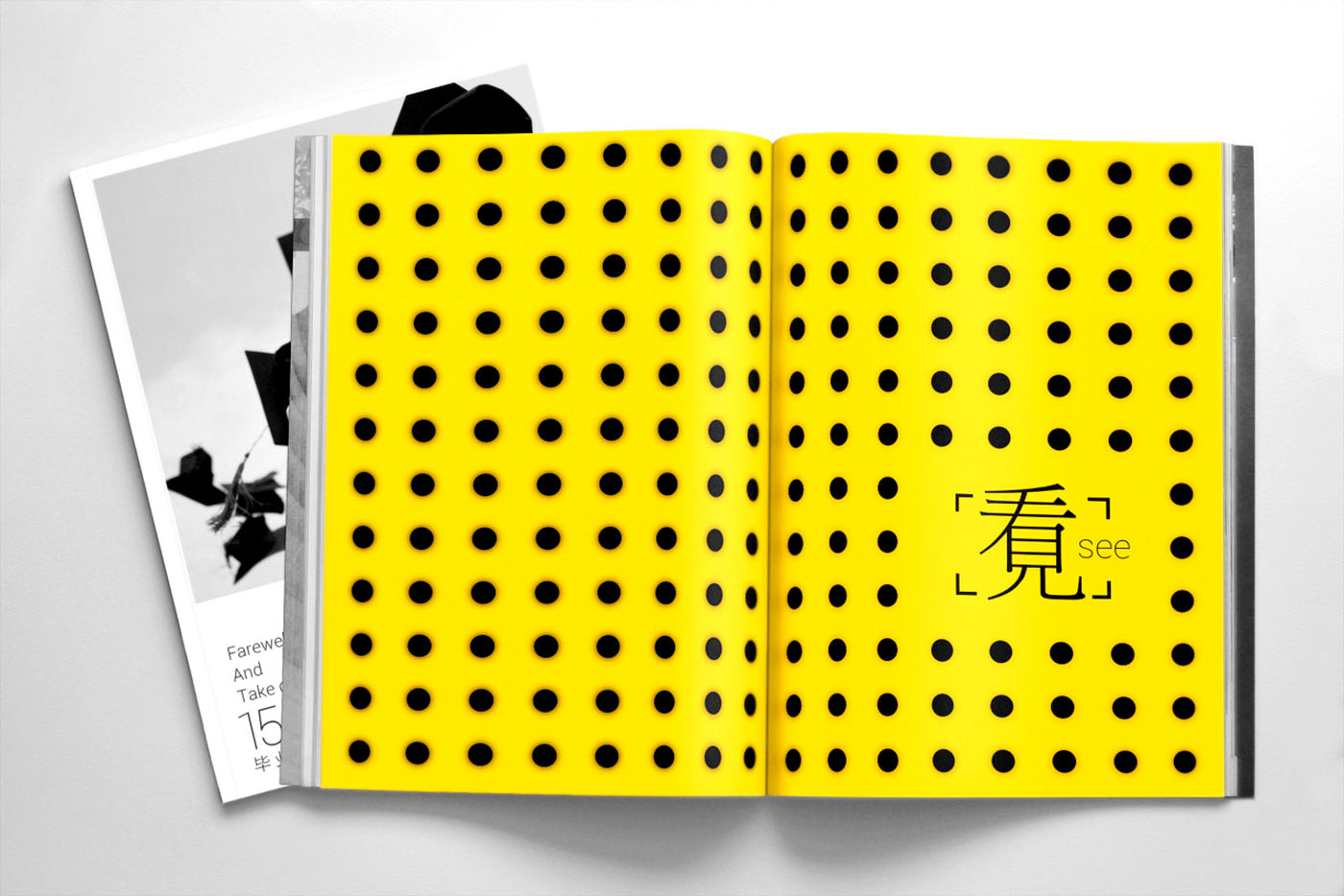 大學(xué)畢業(yè)紀(jì)念冊(cè)設(shè)計(jì)，畢業(yè)紀(jì)念冊(cè)設(shè)計(jì)公司