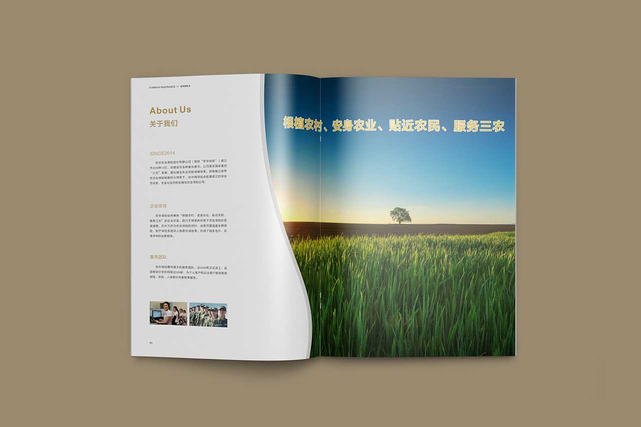 成都企業(yè)為什么要選擇高端宣傳冊設計公司呢？