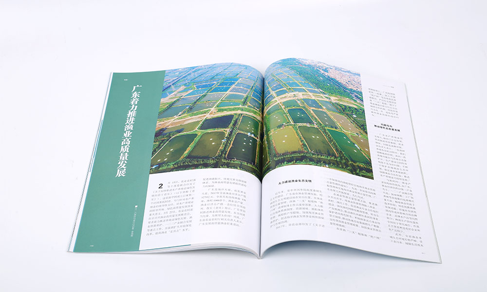企業(yè)畫冊公司多大合適？