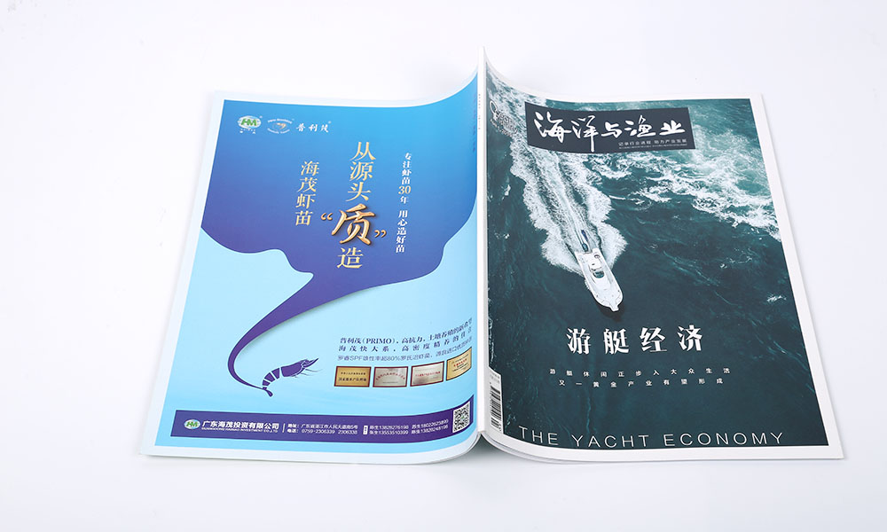 設(shè)計(jì)畫(huà)冊(cè)什么哪個(gè)好？